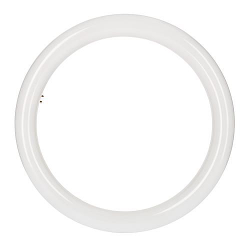 Led Circline T9 32 18,3w 840/G10q