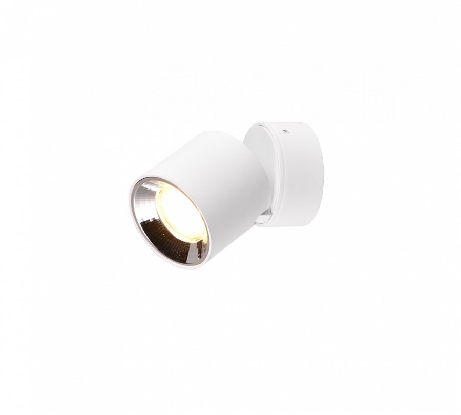 651000131 GUAYANA Spot GU10 wit