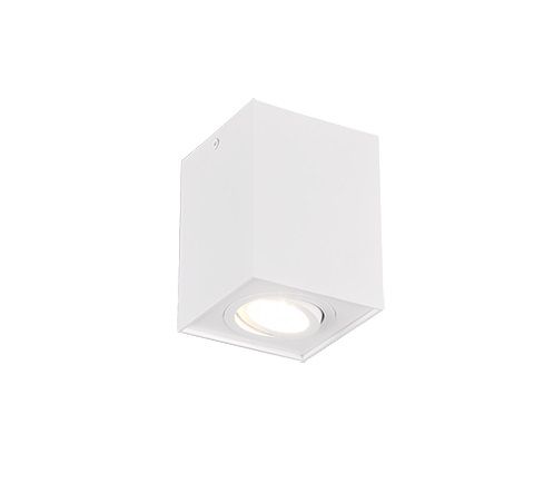 613000131 BISCUIT Spot GU10 Wit