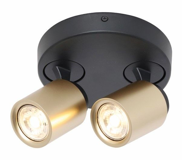 Spot R2xG10 zwart mat goud