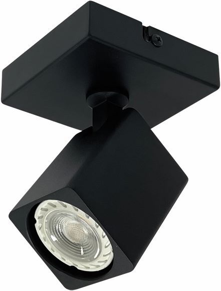 Spot GU10 Zwart